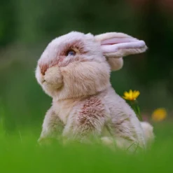 Animigos World of Nature - Hare 24 cm