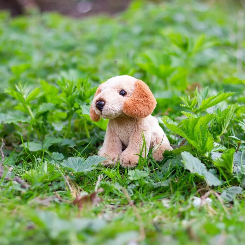Animigos World of Nature Mini - Cockerpoo