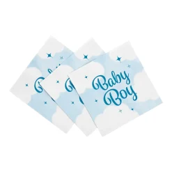 Baby Boy Servetter 20-pack