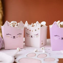 Cat Party - Snacksboxar 3-pack