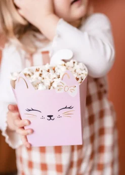 Cat Party - Snacksboxar 3-pack