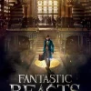 Fantastic Beasts, Pussel Macusa 500 bitar