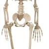 Halloweendekoration Skelett 42 cm