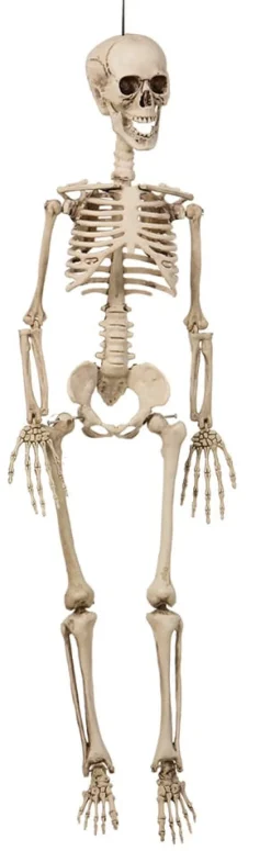 Halloweendekoration Skelett 42 cm