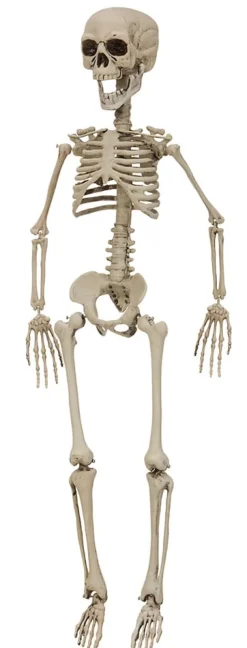 Halloweendekoration Skelett 90 cm
