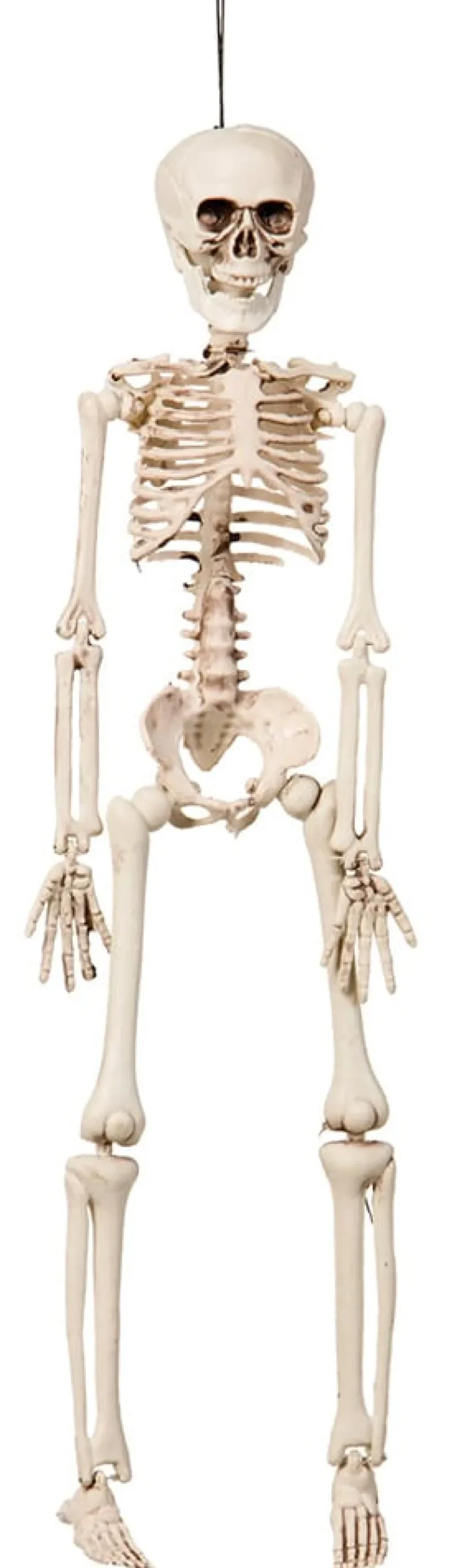 Halloweendekoration Skelett 76 cm