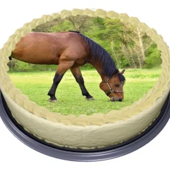 Häst Tårtbild Sockerpasta 20 cm