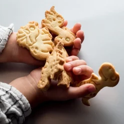 Kakformar Dinosaurier 2-pack