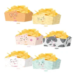 Katt Snacksboxar 3-pack
