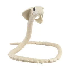 Kobraormskelett 100 cm