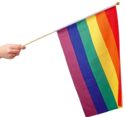 Pride Handflagga 30 x 40 cm