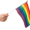 Pride Handflaggor 6-pack