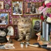Ravensburger Pussel - Min söta katt 1000 bitar