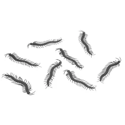 Svarta Tusenfotingar 14 x 3,5 cm, 8-pack