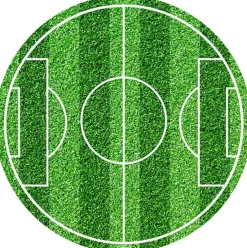 Tårtbild Fotbollsplan - Sockerpasta 20 cm (rund)