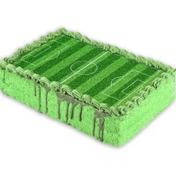 Tårtbild Fotbollsplan - Sockerpasta 15 x 21 cm